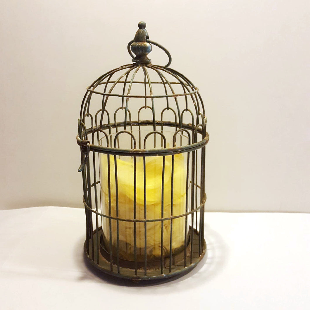 'The Canary has Flown' by Jeanette Prout