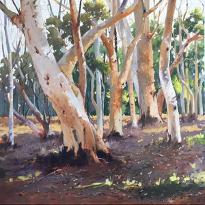 "Scribbly Gums" by Julie Simmons
